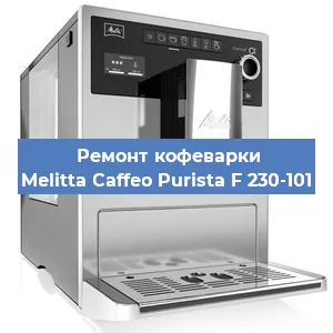Чистка кофемашины Melitta Caffeo Purista F 230-101 от кофейных масел в Нижнем Новгороде
